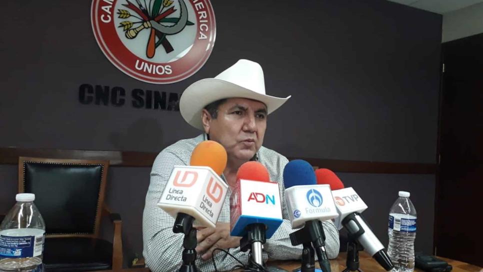 El campo debe tener presupuesto suficiente: Faustino Hernández