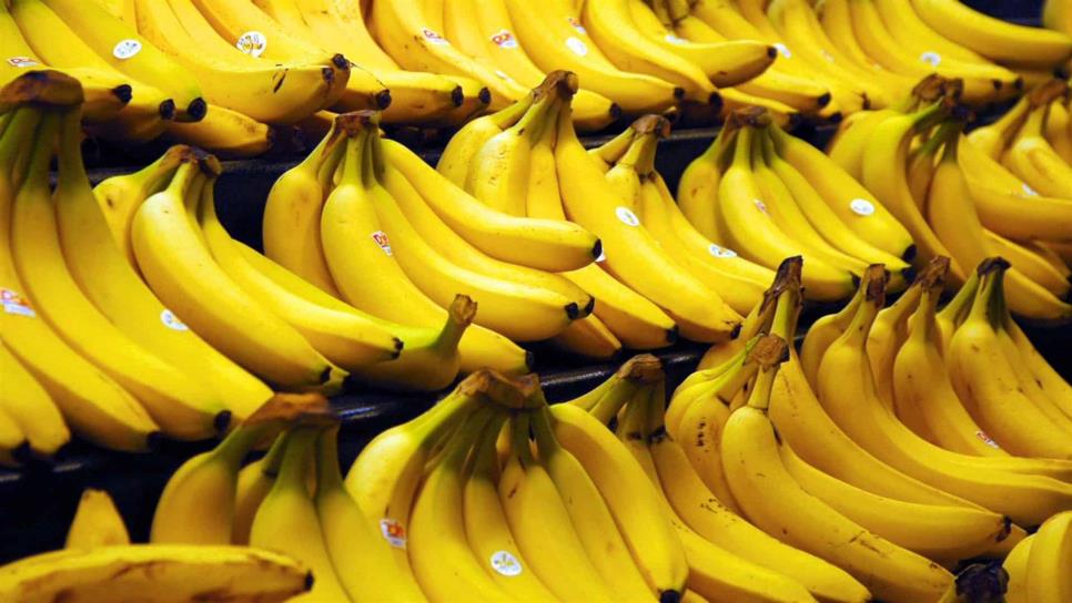 Plátano y sorgo mexicano llegará a mercado chino próxima semana