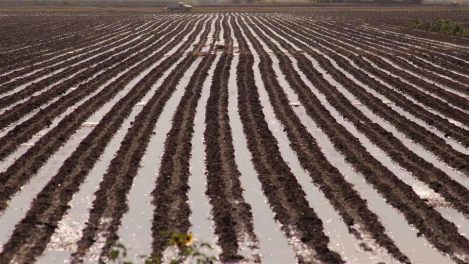 Buscan restaurar un millón de hectáreas agrícolas en México