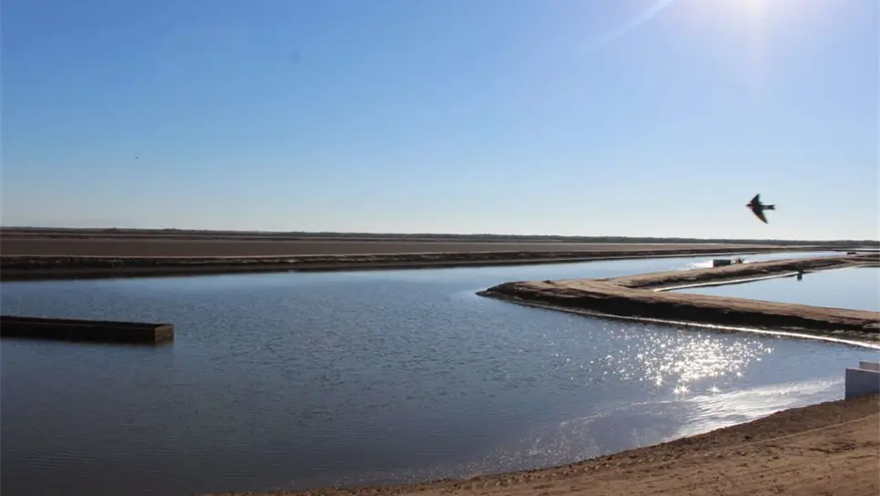 FOTO: Luz Noticias | Archivo.