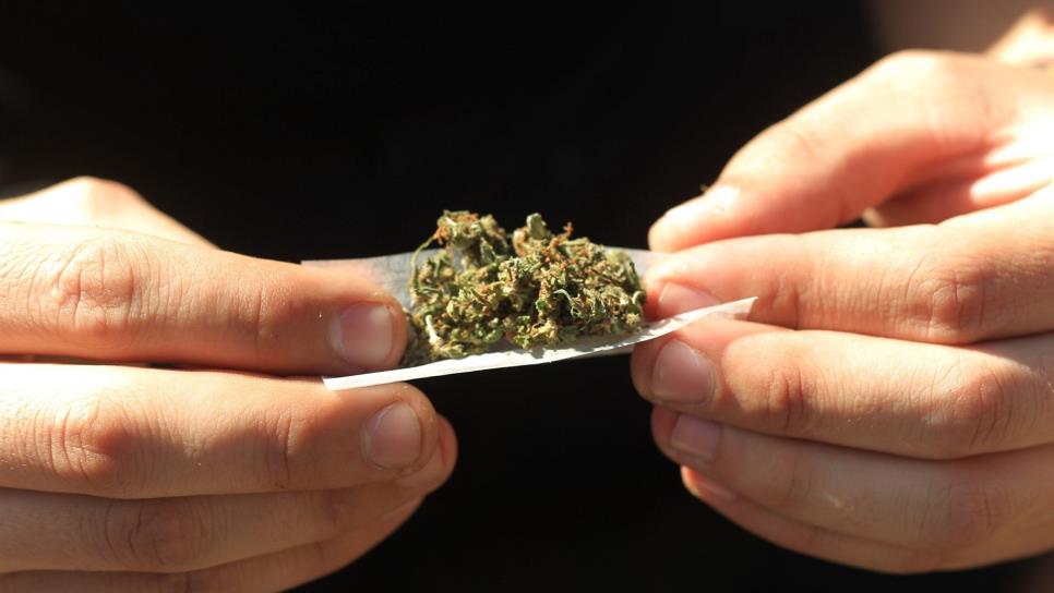 Propone Morena portar hasta 30 gramos de mariguana para consumo personal