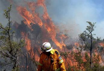 Ordenan evacuación masiva ante incendios forestales en Australia