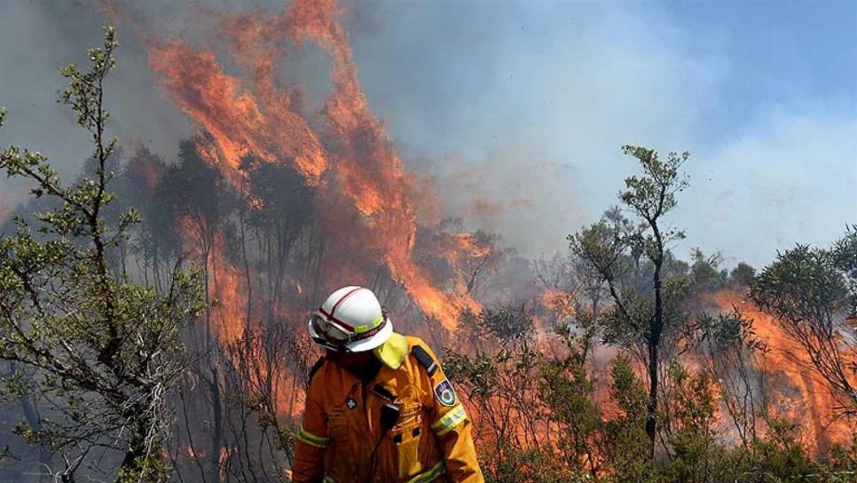 Ordenan evacuación masiva ante incendios forestales en Australia