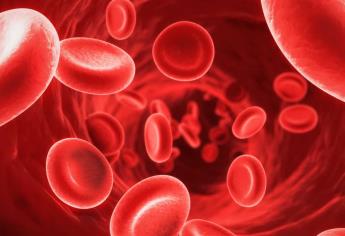 Advierten sobre aumento de anemia en población mundial