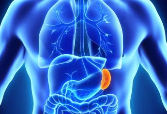 Especialista médico advierte señales sobre problemas del bazo