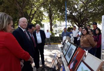 Festeja la UAS Día Internacional de las Personas con Discapacidad