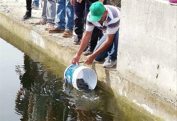 Siembran alevines en represas de la sierra de Badiraguato