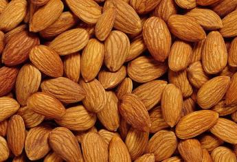Almendras, opción para equilibrar alimentación en fiestas decembrinas