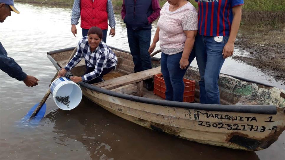 Siembran alevines en el dique Mariquita para promover turismo de pesca