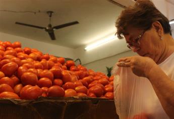 México debe defenderse ante dumping del tomate: Sergio Jacobo