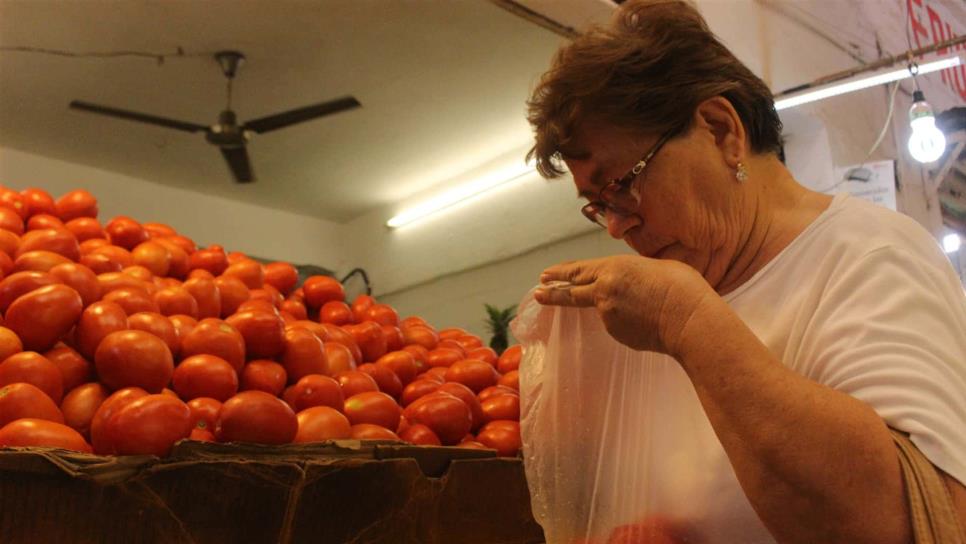 México debe defenderse ante dumping del tomate: Sergio Jacobo