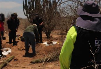 PEF 2019 plantea recorte para búsqueda de desaparecidos en México