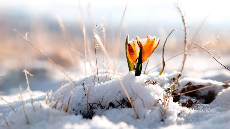 Hoy inicia el solsticio de invierno, la temporada más fría del año