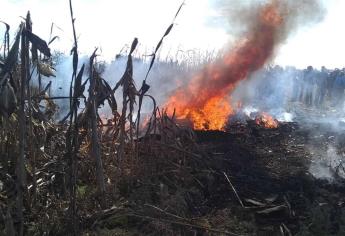 Mueren Alonso y Moreno Valle en accidente aéreo