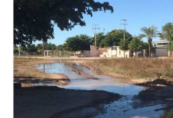 Demandan reparación de fugas de agua en el Chihuahuita