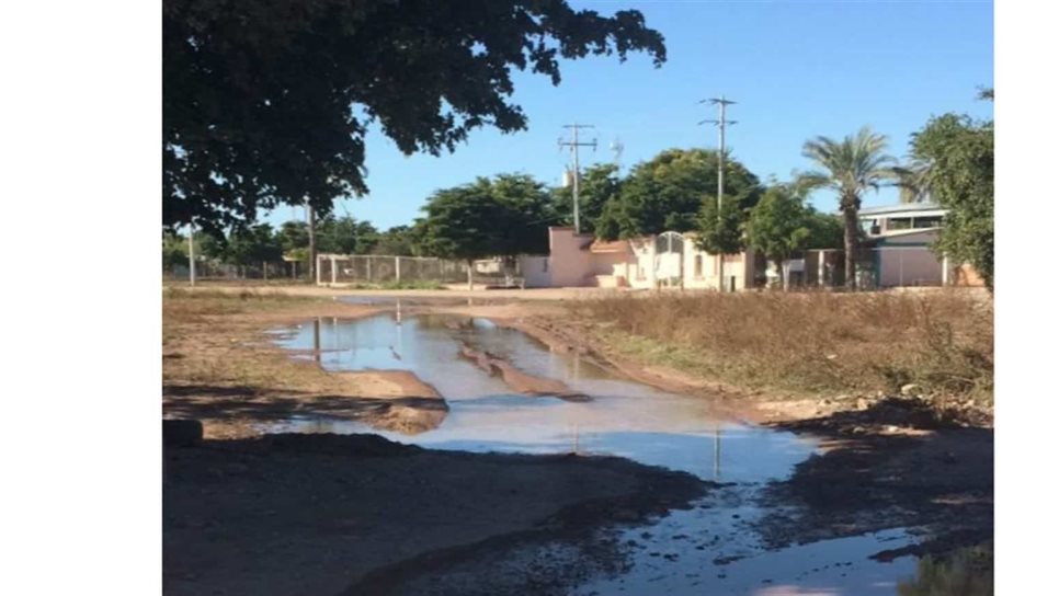 Demandan reparación de fugas de agua en el Chihuahuita