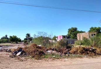 Vecinos de la colonia 75 viven entre basura y solares baldíos