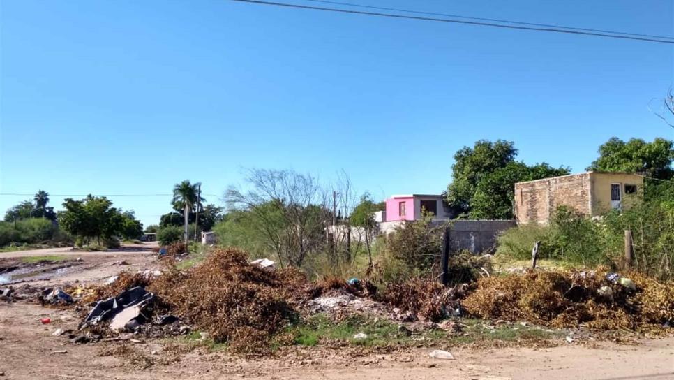 Vecinos de la colonia 75 viven entre basura y solares baldíos