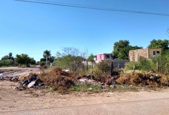 ¿Qué hacer ante solares baldíos que afectan a los vecinos?