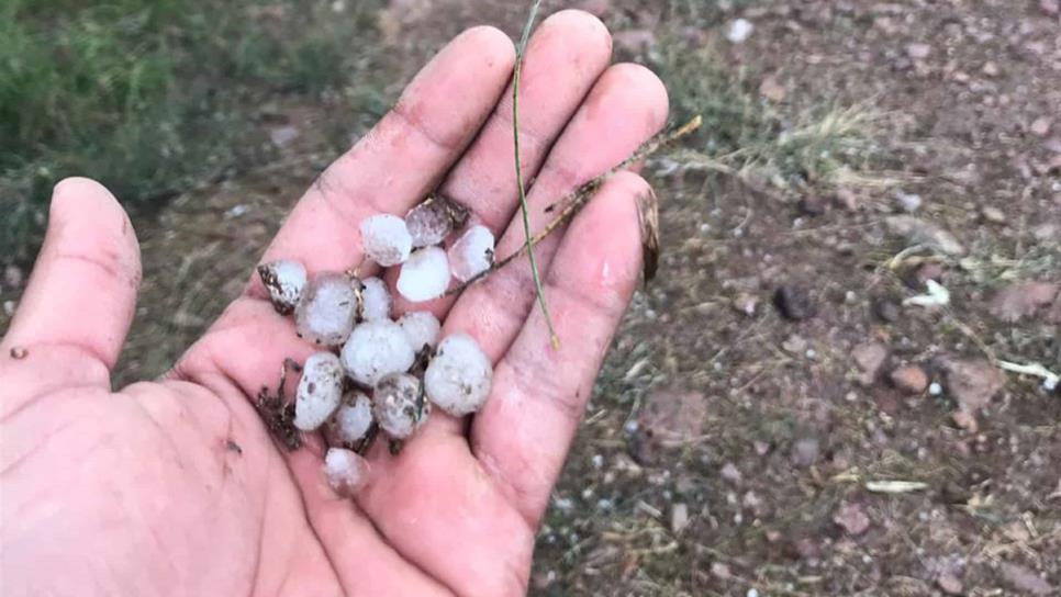 Cae gragea en Higuera de Zaragoza