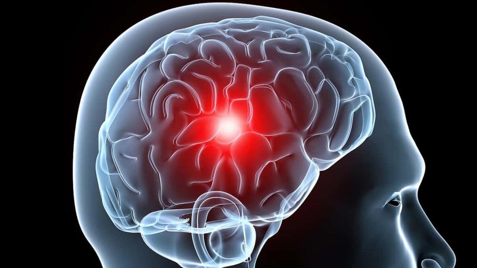 Crearán marcapasos para el cerebro, útil en trastornos neurológicos 