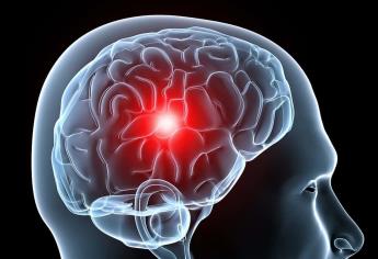 Descubren neurocientíficos cómo estimular la risa en el cerebro