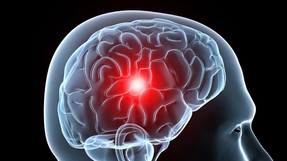 Descubren neurocientíficos cómo estimular la risa en el cerebro Descubren neurocientíficos cómo estimular la risa en el cerebro