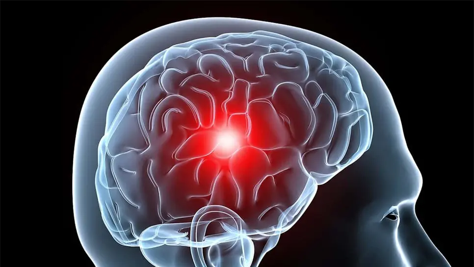 Descubren neurocientíficos cómo estimular la risa en el cerebro