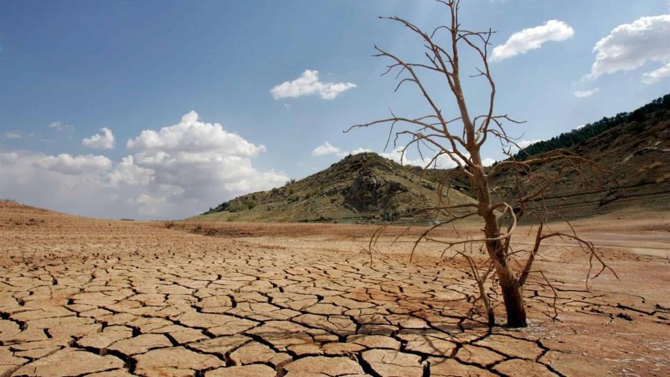 Las “cabañuelas”, costumbre que persiste para predecir el clima