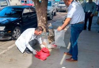 Abandonan a recién nacida en bote de basura en Guamúchil y muere en el hospital