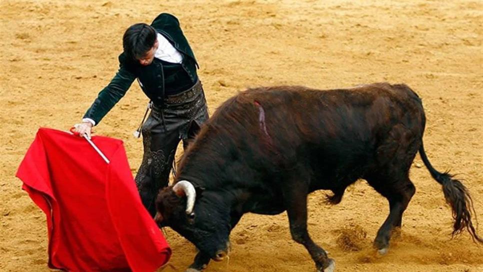Anuncia Instituto de Cultura de Mazatlán corrida de toros,  pero no tiene permiso