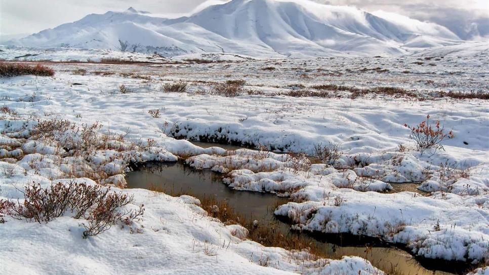 Aumenta temperatura del permafrost a escala mundial, revela estudio