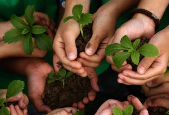 Promoverán cuidado ambiental en niños y jóvenes