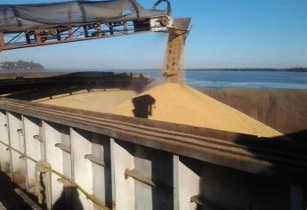 Abre al alza futuros de maíz y sorgo en Bolsa de Chicago