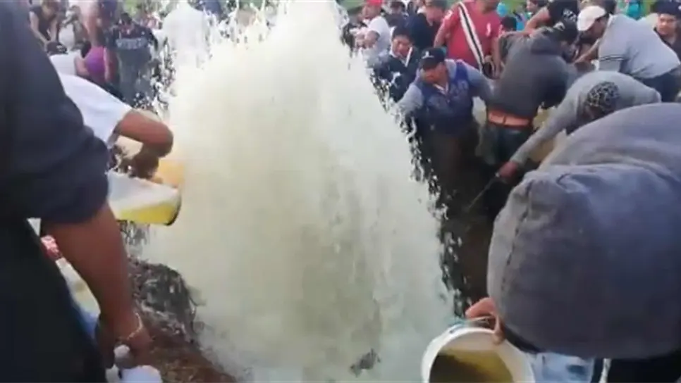 Experto advierte sobre peligro de ordeña de ductos rudimentaria