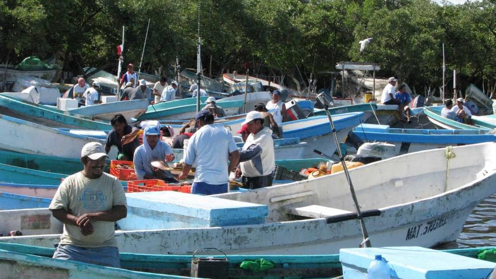 Exige Sinaloa más apoyos para la pesca