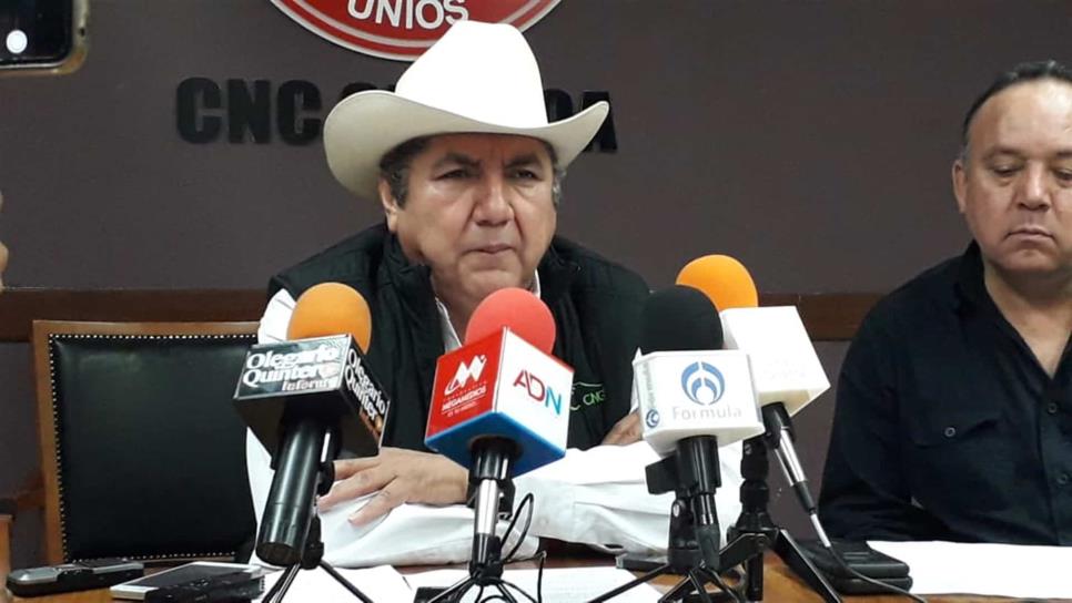 Productores confían en la buena relación entre AMLO y Quirino