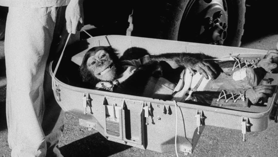 NASA recuerda a Ham, primer chimpancé en viajar al espacio
