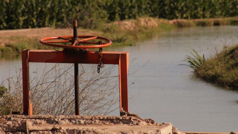 Cambian plan de siembra y reasignan agua para Sinaloa