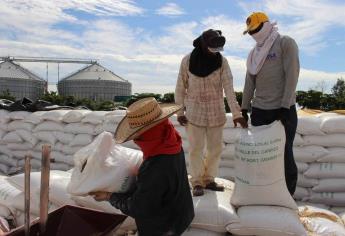 Sinaloa iniciará Sistema Nacional de Almacenamiento de granos