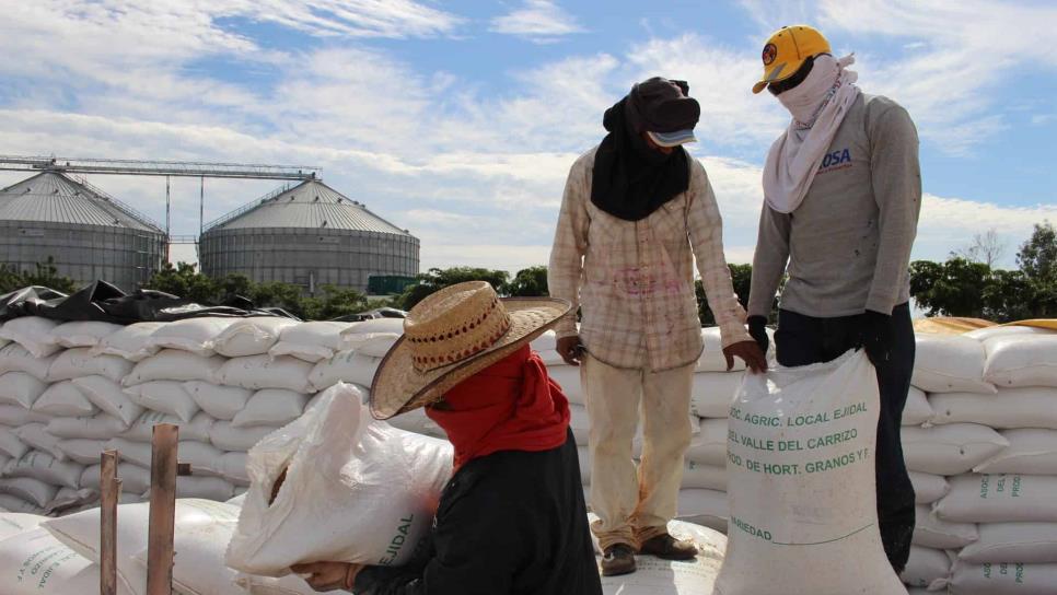 Sinaloa iniciará Sistema Nacional de Almacenamiento de granos