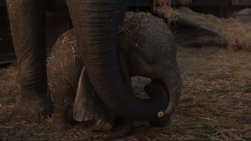 Disney lanza último tráiler de Dumbo