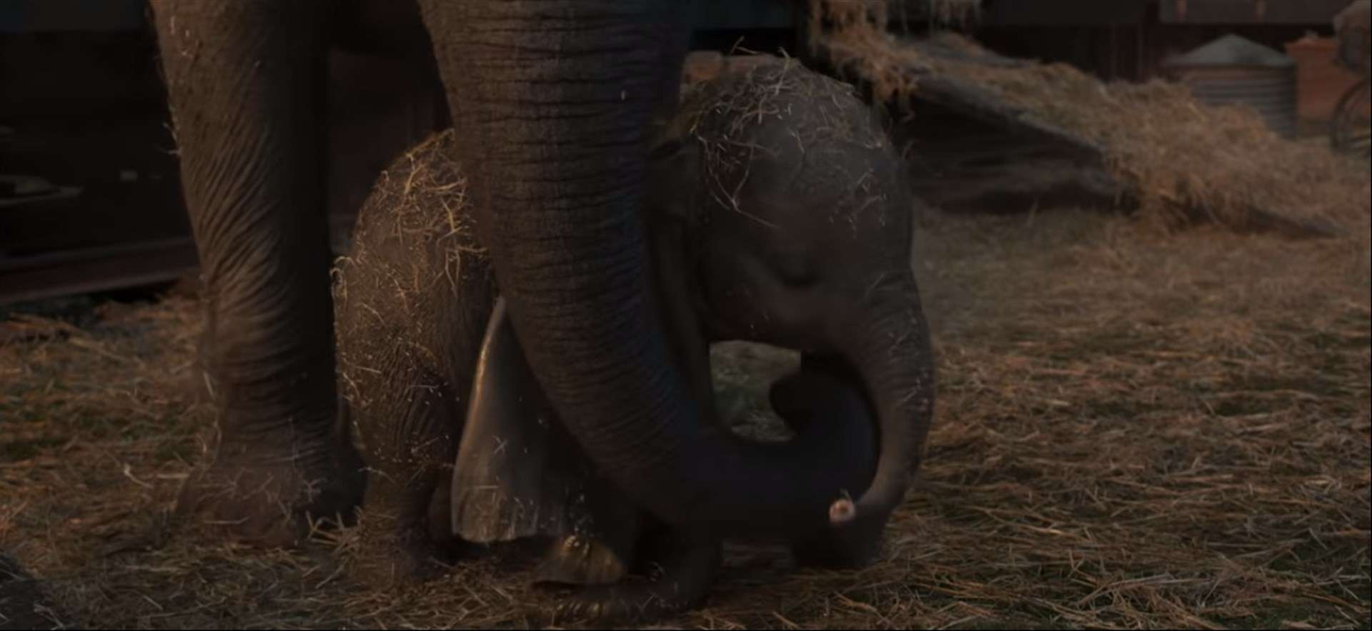 Disney lanza último tráiler de Dumbo