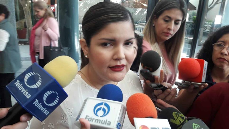 Se ha hecho negocio con las estancias infantiles: Merary Villegas