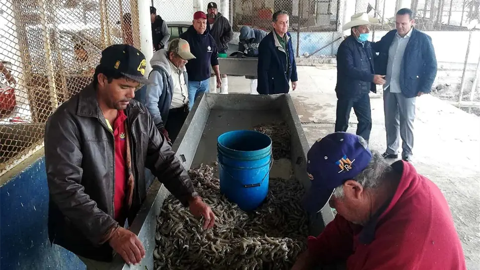 FOTO: Gobierno de Sinaloa.