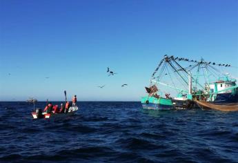 Monitorean calidad del agua en Bahía de La Paz para detectar marea roja