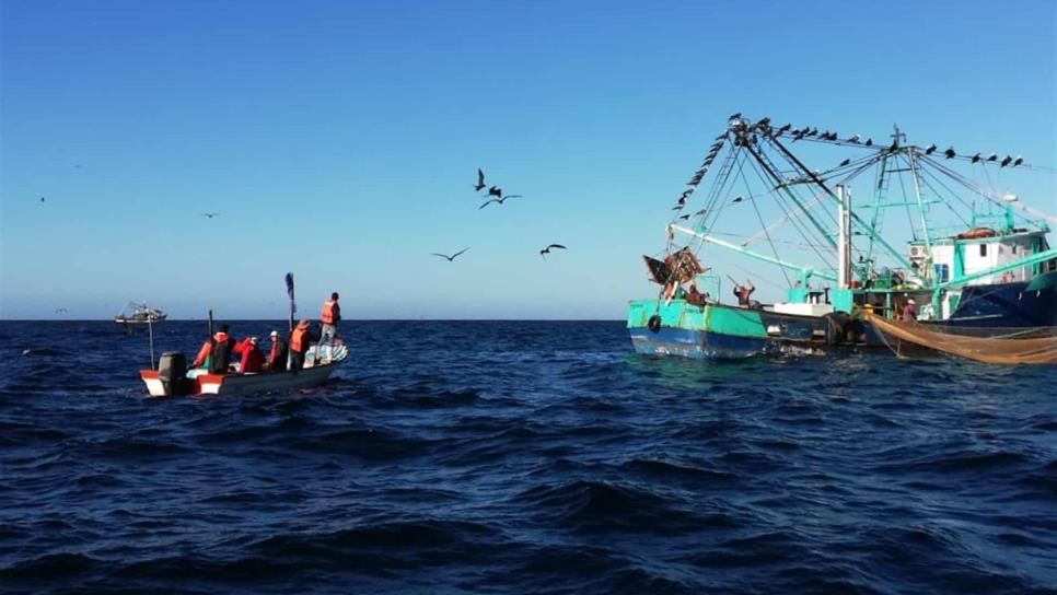 Monitorean calidad del agua en Bahía de La Paz para detectar marea roja