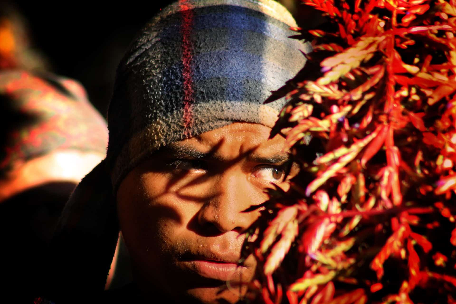 Los sonidos de México buscan mantener vivas las lenguas indígenas