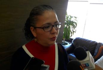 Estrada Ferreiro, obligado a cumplir la ley: Domínguez Nava
