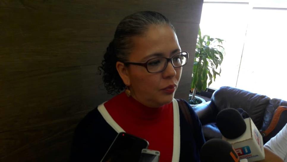 Estrada Ferreiro, obligado a cumplir la ley: Domínguez Nava Estrada Ferreiro, obligado a cumplir la ley: Domínguez Nava
